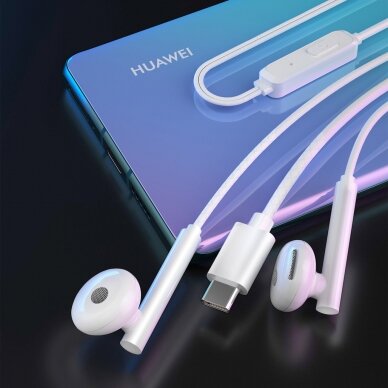 Ausinės Dudao wired headphones USB Type C 1.2m Baltos (X3B-W) 1
