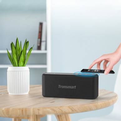 Tronsmart Element Mega Pro 60 W waterproof (IPX5) wireless Bluetooth 5.0 speaker SoundPulse® black 10